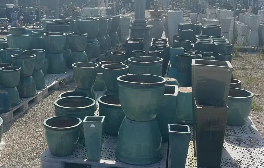 A curated arrangement of mature plants in artisanal pottery within a greenhouse