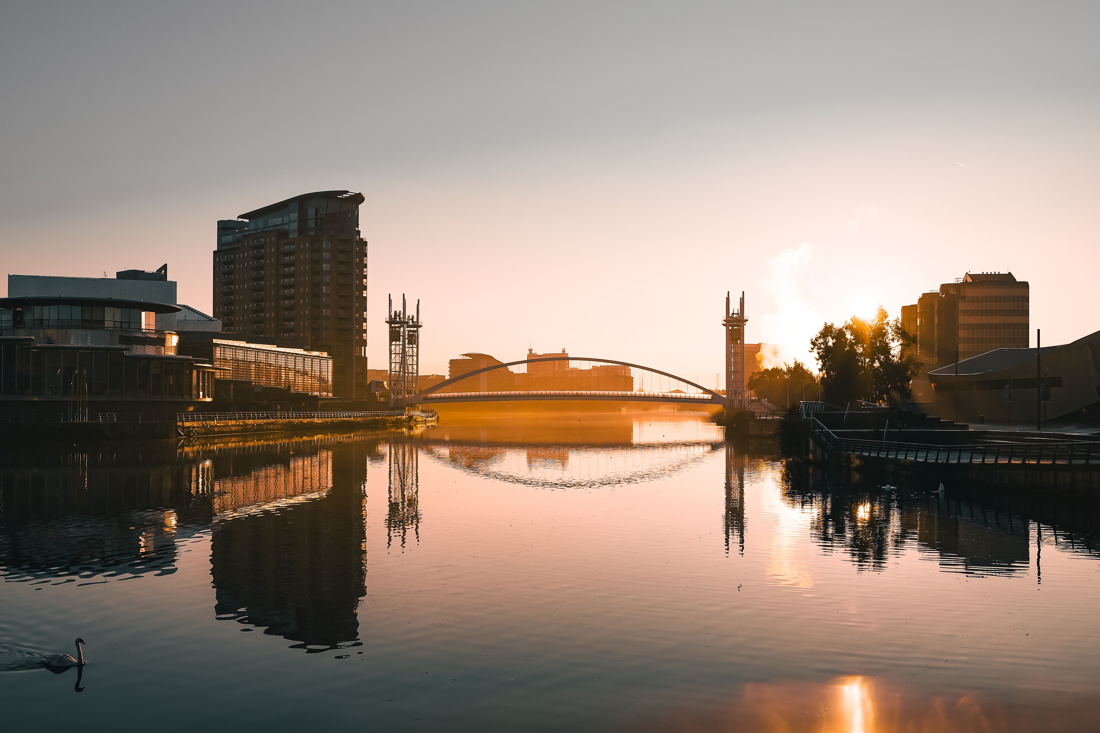 {{ custom_values.service_1 }} in {{custom_values.biz_area_1})