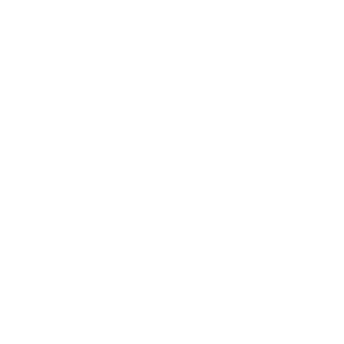 Icon of a head sillouette and radiating speech waves