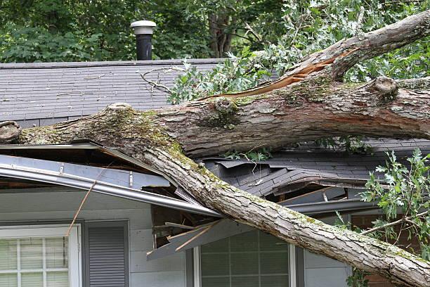 House damaged by a fallen tree after a storm, illustrating the need for emergency restoration and repair services from VHrestoration.