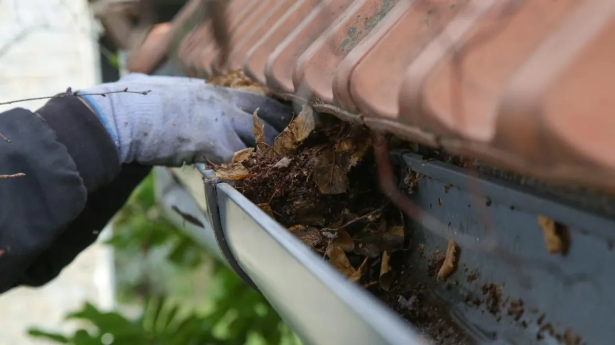 Gutter Cleaning