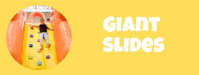 Inflatable giant slide rentals windsor