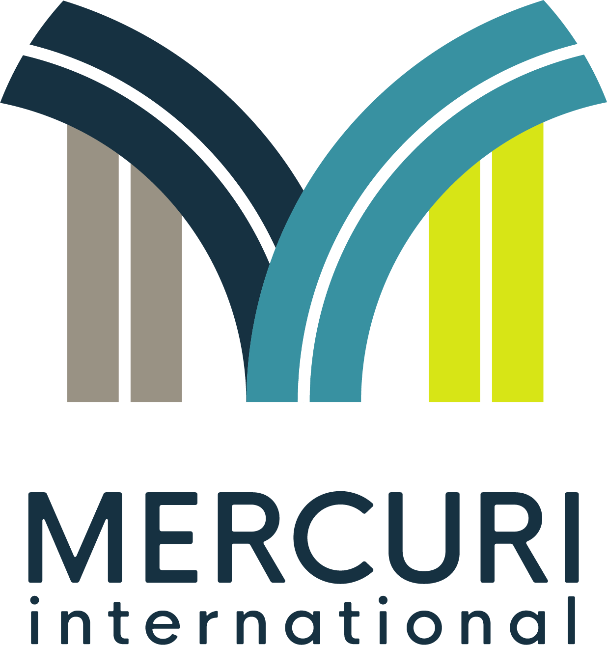 Mercuri International company logo