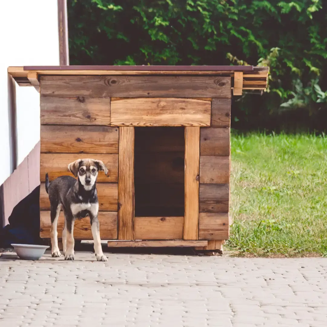 Pet-Safe Outdoor Spaces by Otterloop Handyman Services - Knoxville 