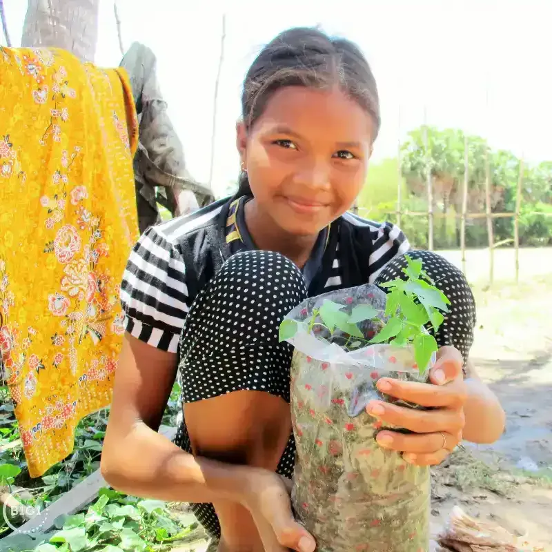 Sustainable deelopment goal