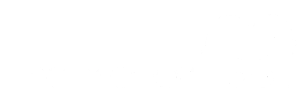 the motley fool logo