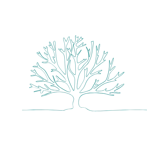 group coaching for autoimmune