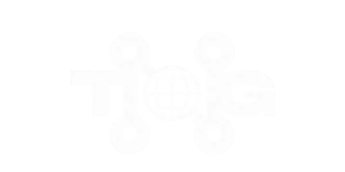 The Network Global Logo