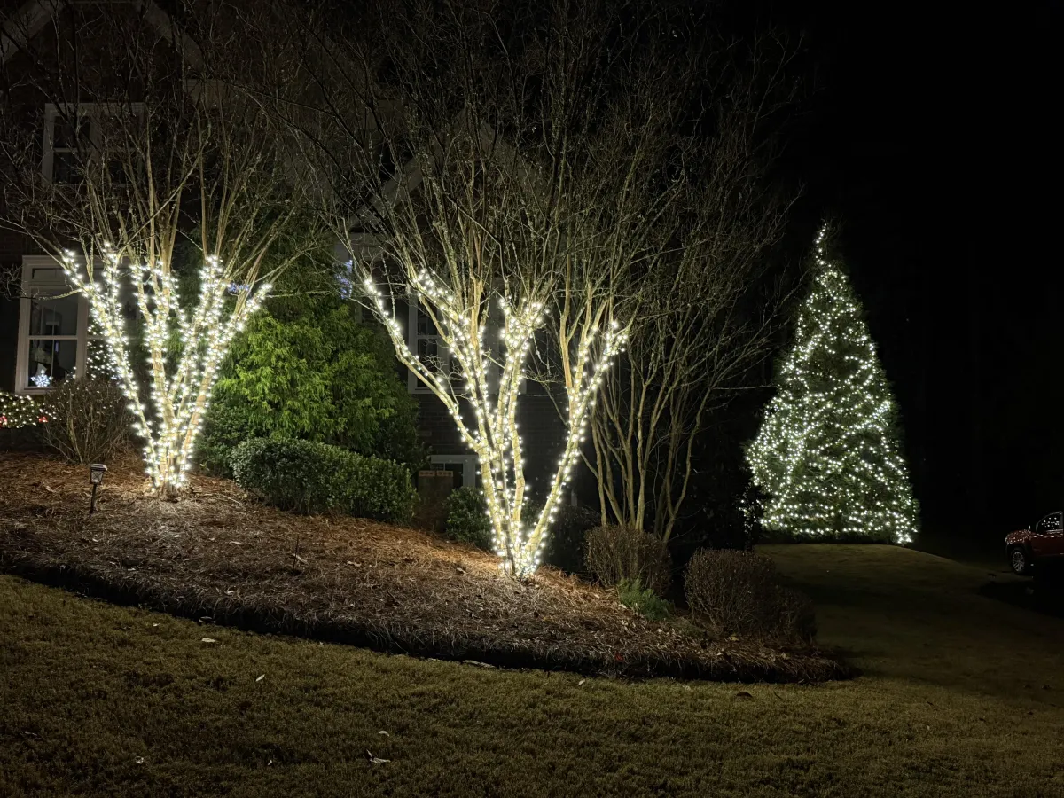 Custom holiday lighting installation in Athens GA neighborhood
