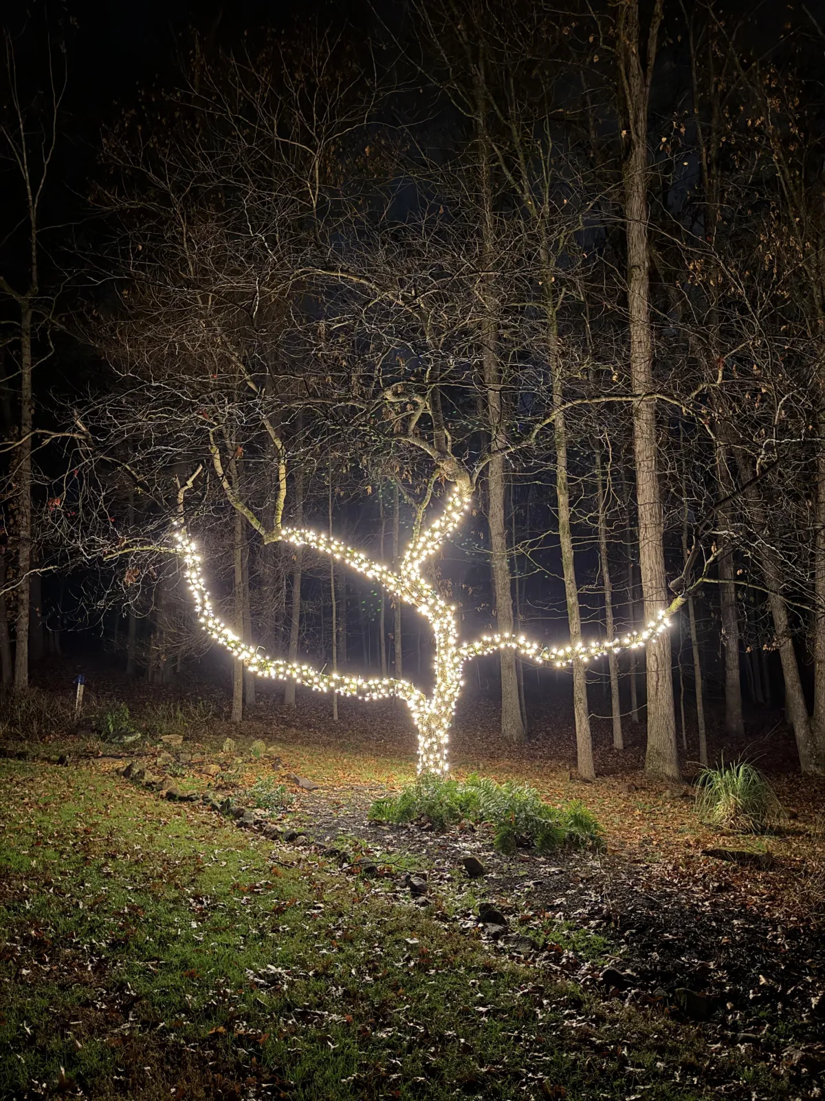 Roofline Christmas lights installed on a house in Watkinsville GA