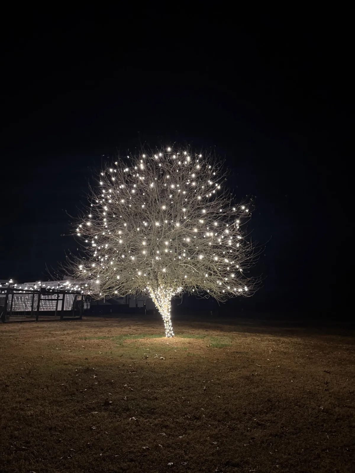 Holiday lighting display installed on a house in Athens Georgia