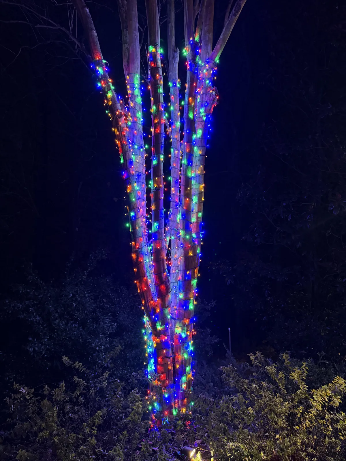 Residential Christmas lighting display in Watkinsville Georgia