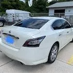 window tint
