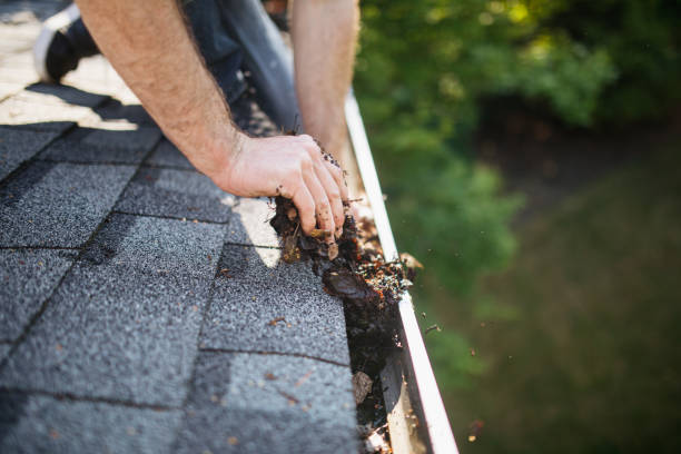 New seamless aluminum gutter system installed for efficient drainage.