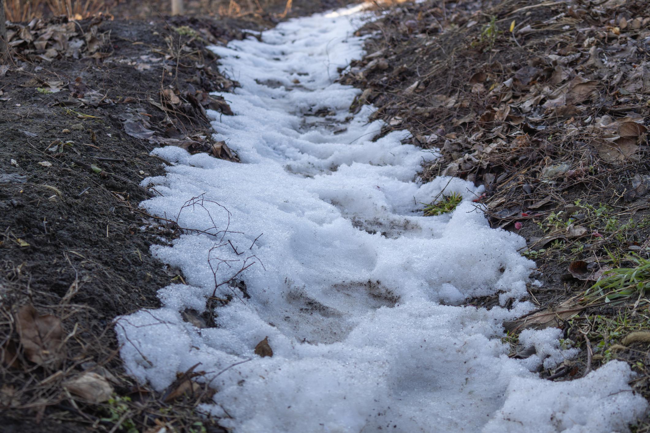 Why Weather Changes in North Idaho Can Make You Feel Sick