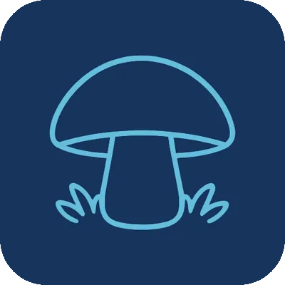 Functional mushrooms icon