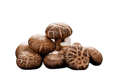 A cluster of fresh shiitake mushrooms