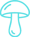 Mushroom icon