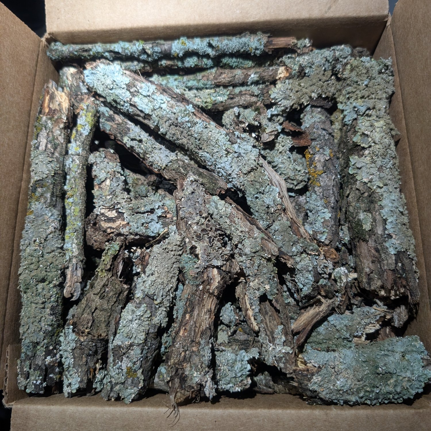 Lichen Wood