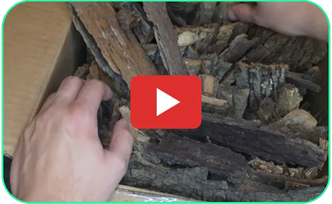 TJ opens a KingCampy bark box on YouTube!