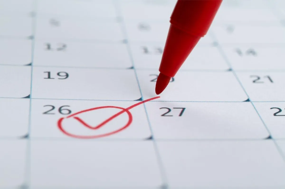 human hand holding plasma ball