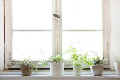 Mindful decluttering and organizing