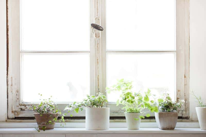 Mindful decluttering and organizing