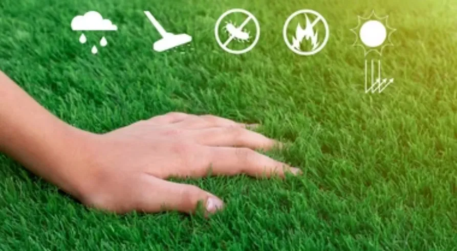 Is Artificial Turf Safe for Dogs? A St. George Pet Owner's Guide