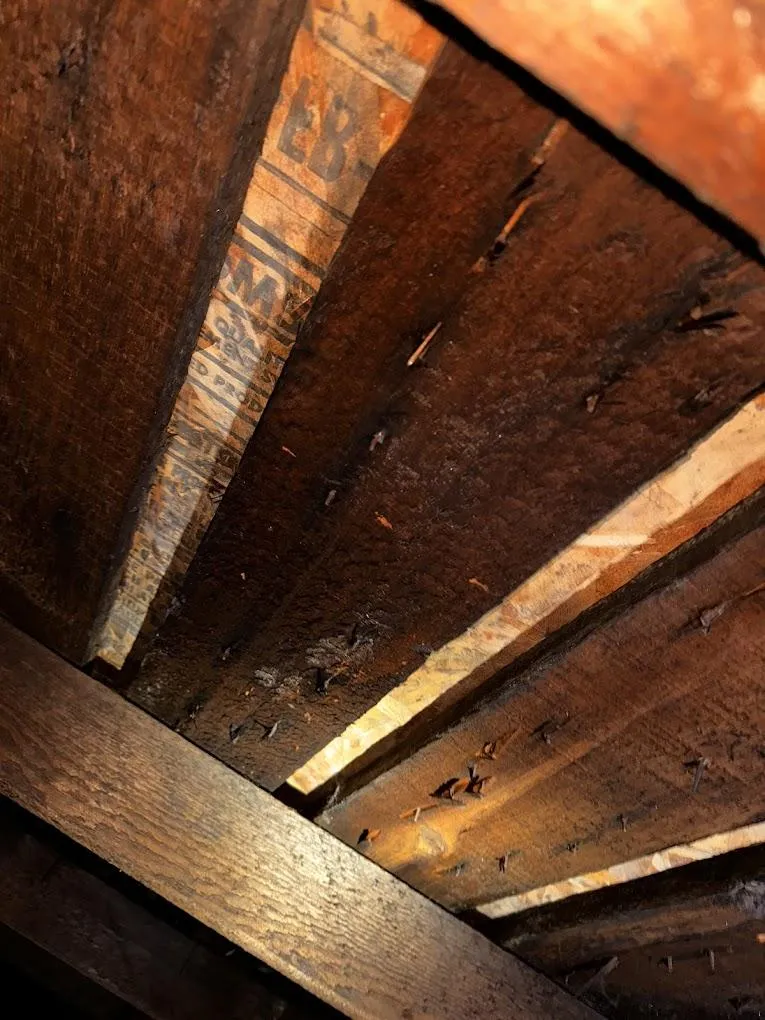 roofing project