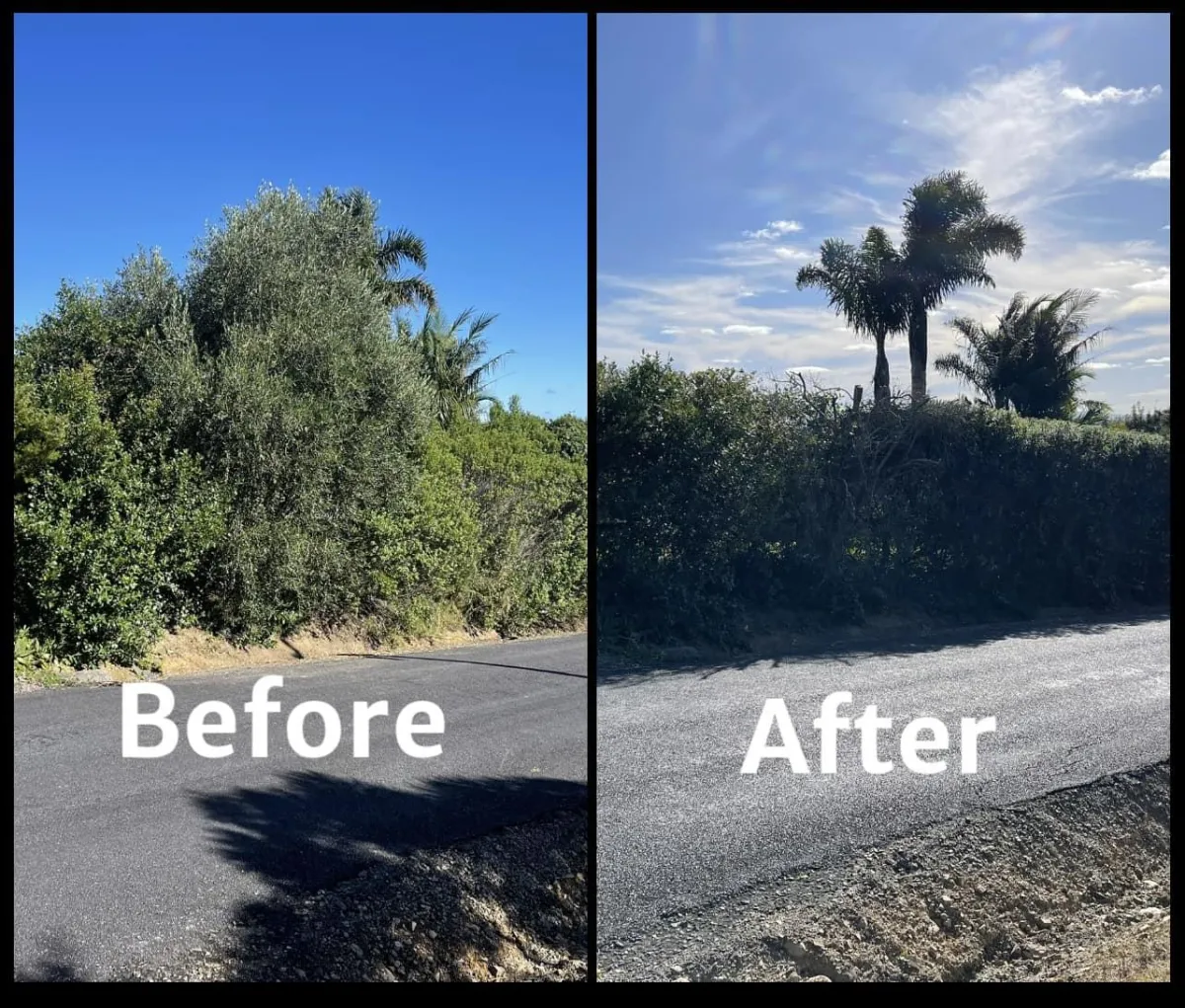 garden clean up before and after Auckland