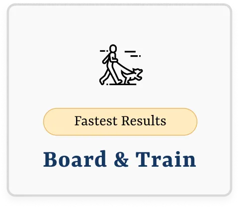 Board & Train Selection Card
