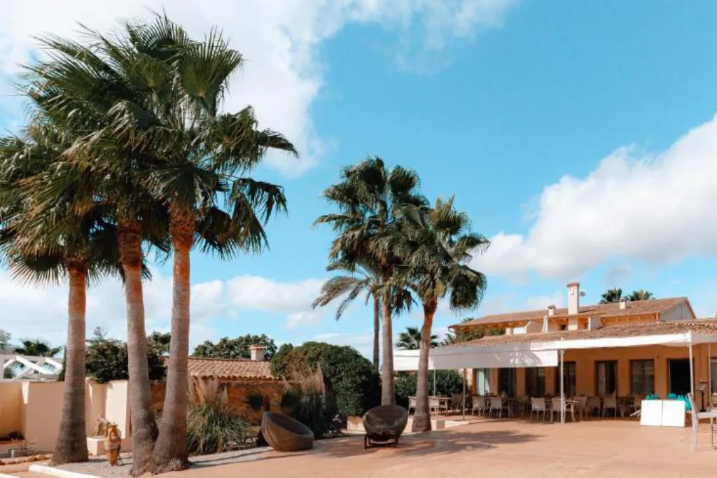 Mallorca finca courtyard with stone paths, olive trees and terracotta roofs (no people)