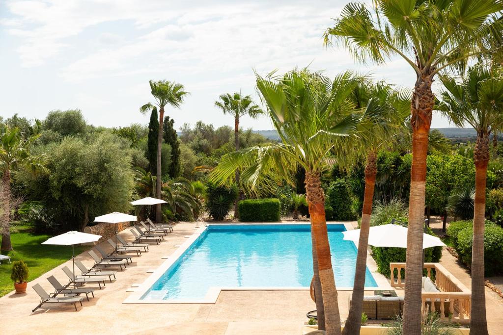 Mallorca landscape with pool and Mediterranean garden at the finca (no people)