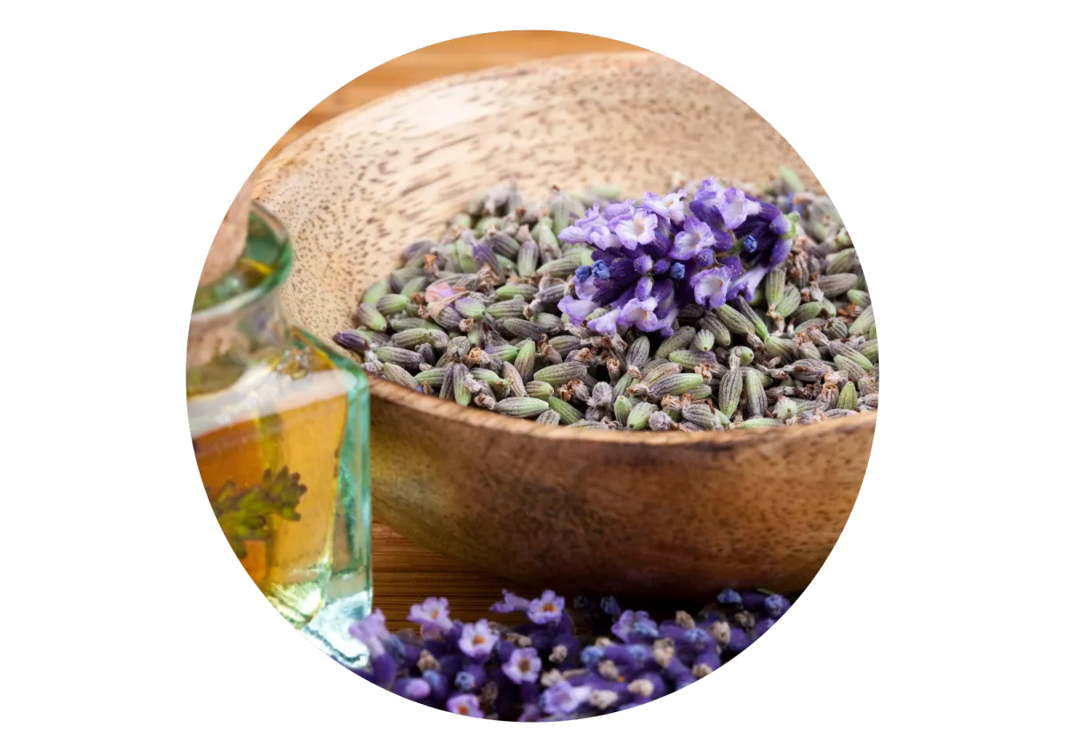 Lavender in bowl and oil bottle at Pause Mind & Body Reset