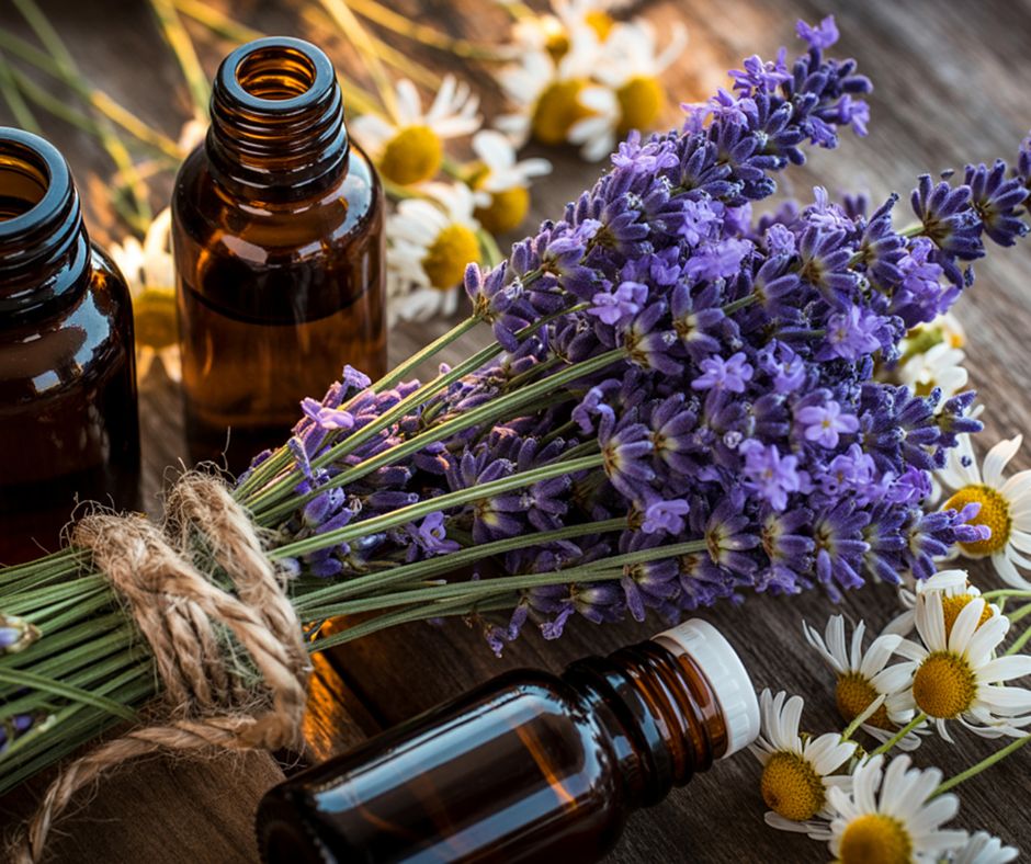 selection of essential oils with representative leaves/flowers iin background