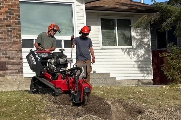 stump grinding cost Calgary