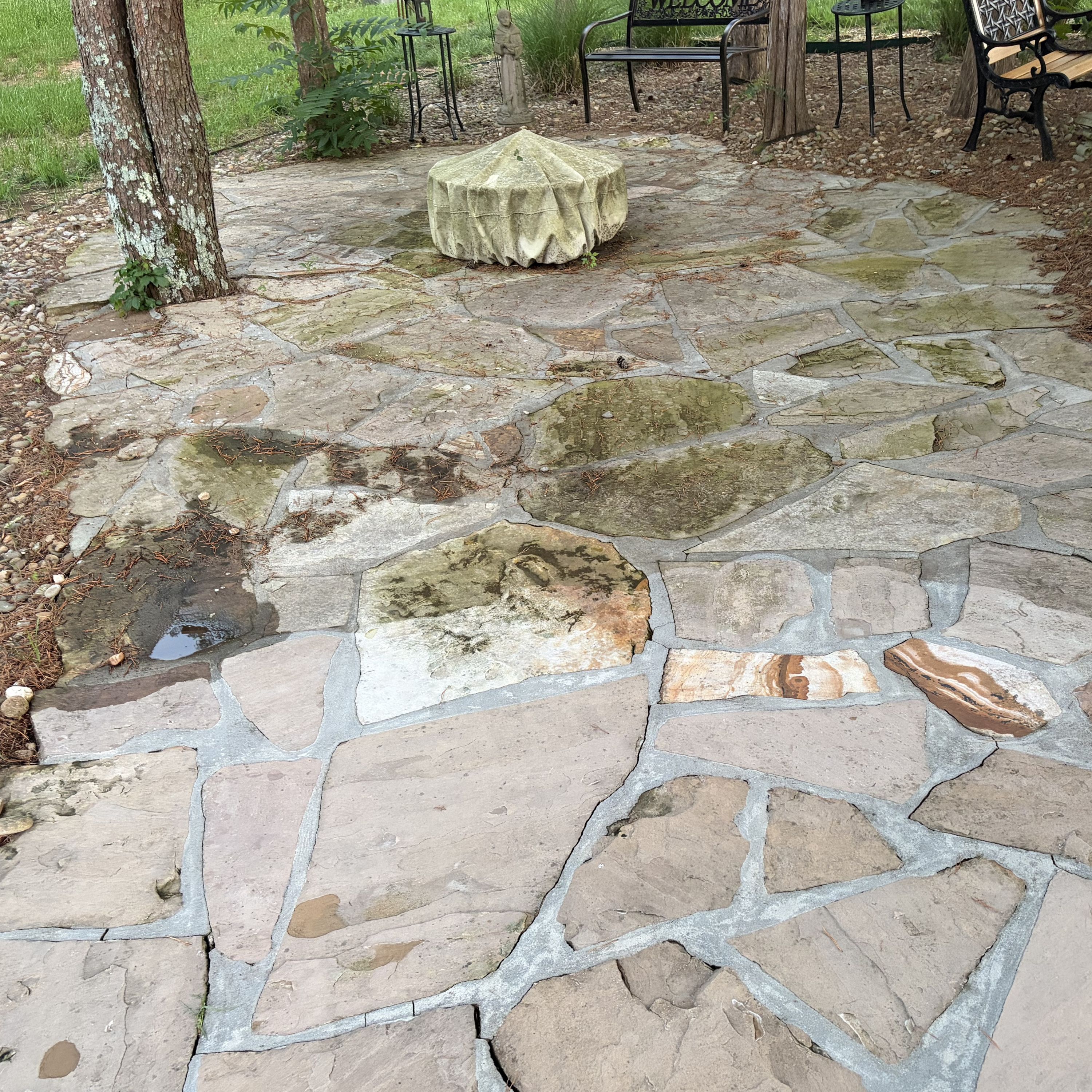 Fence Cleaning Knoxville