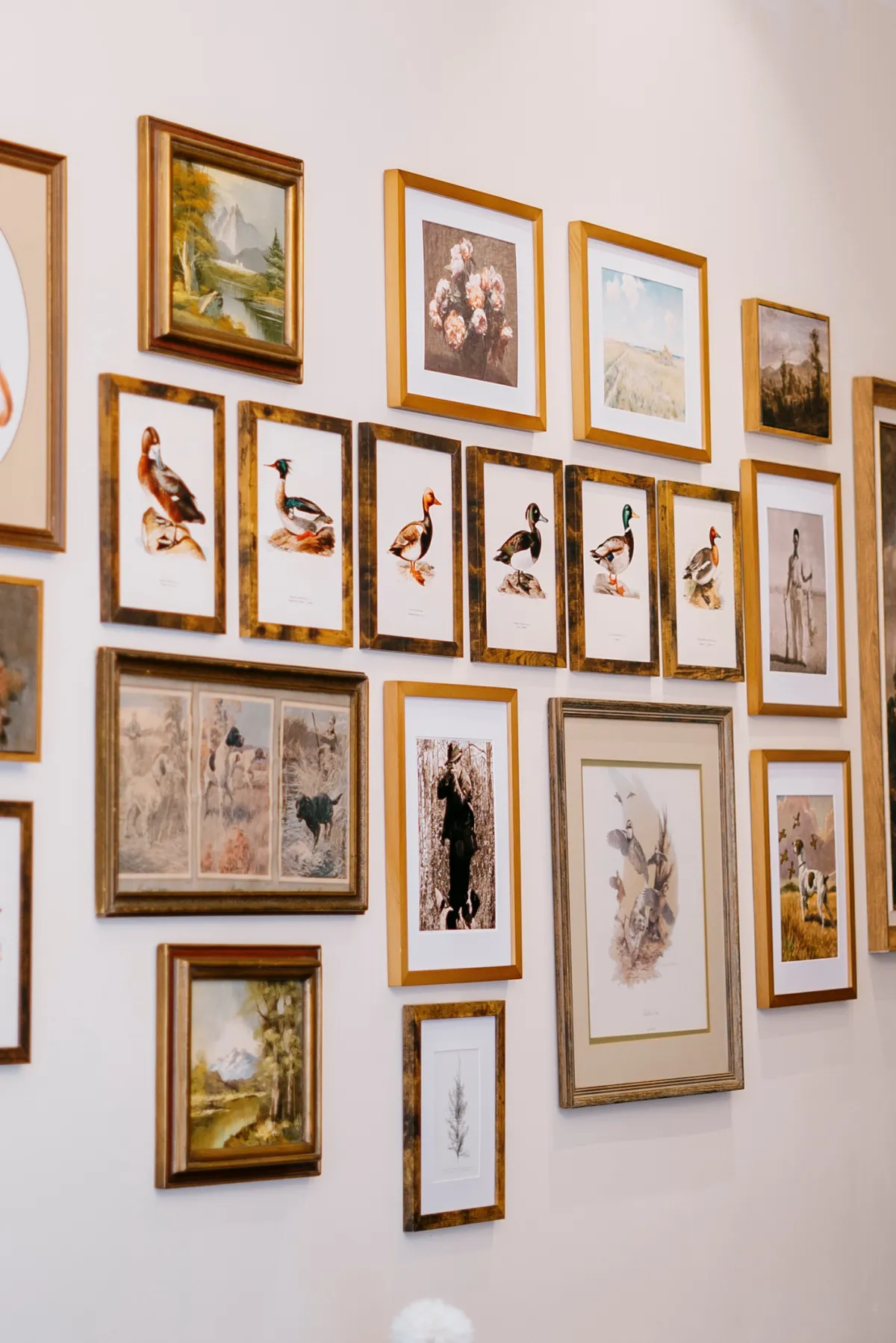 A gallery wall featuring a collection of framed art pieces, including botanical and floral prints, landscape paintings, and vintage illustrations of various birds and dogs.