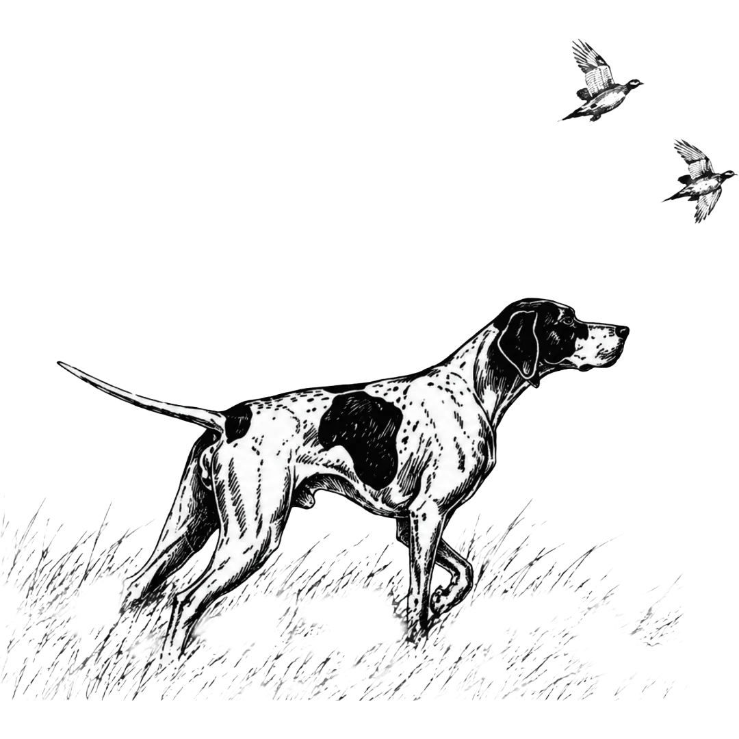 Bird Dog NYC logo with a pointing dog and two birds flying overhead