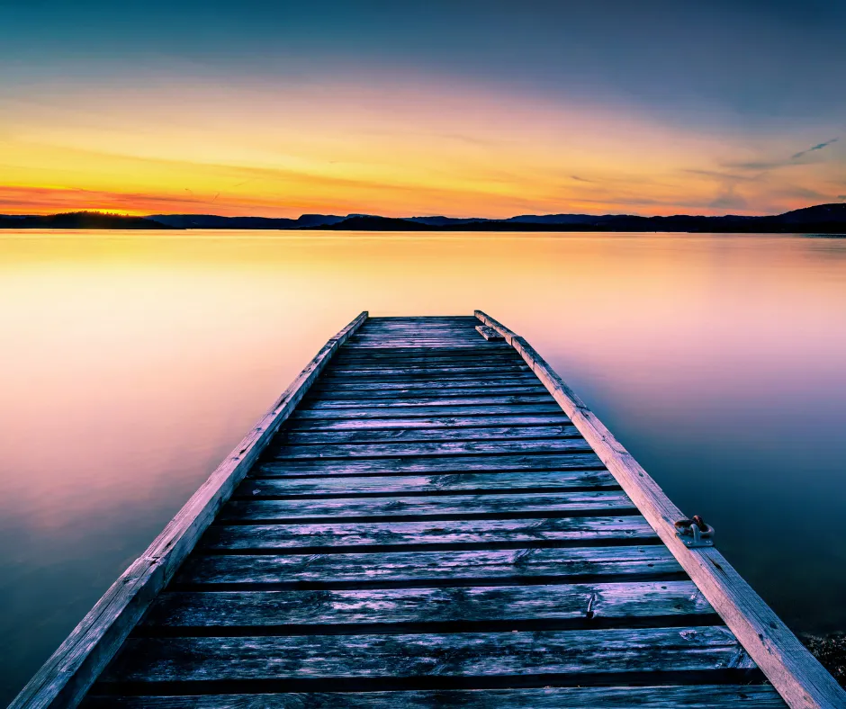 A foggy field with trees in the distance