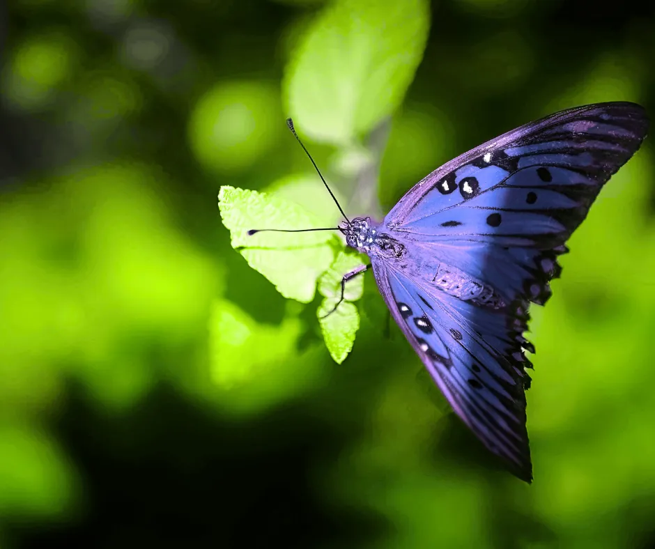 a group of people standing inside of a building