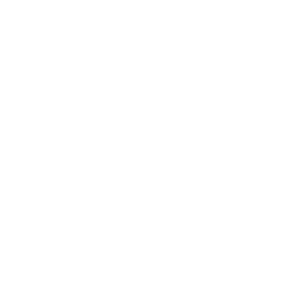 Twitter (X Icon