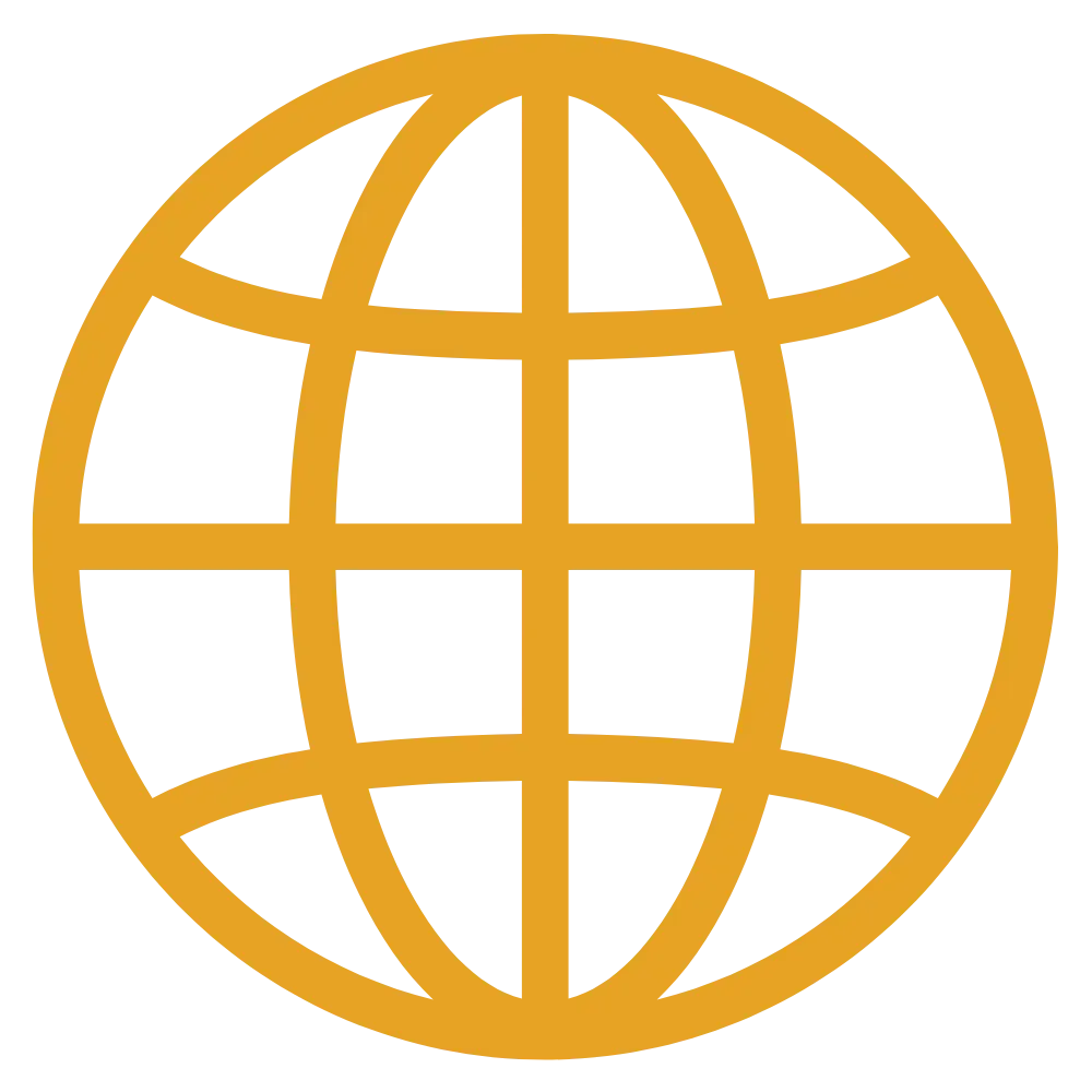 Wireframe globe icon