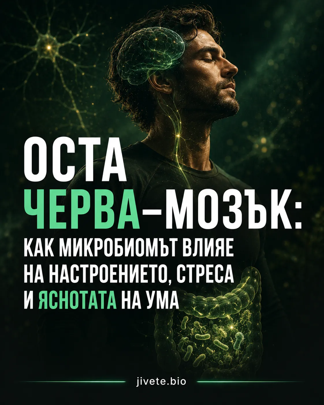 Оста черва–мозък: как микробиомът влияе на настроението, стреса и яснотата на ума