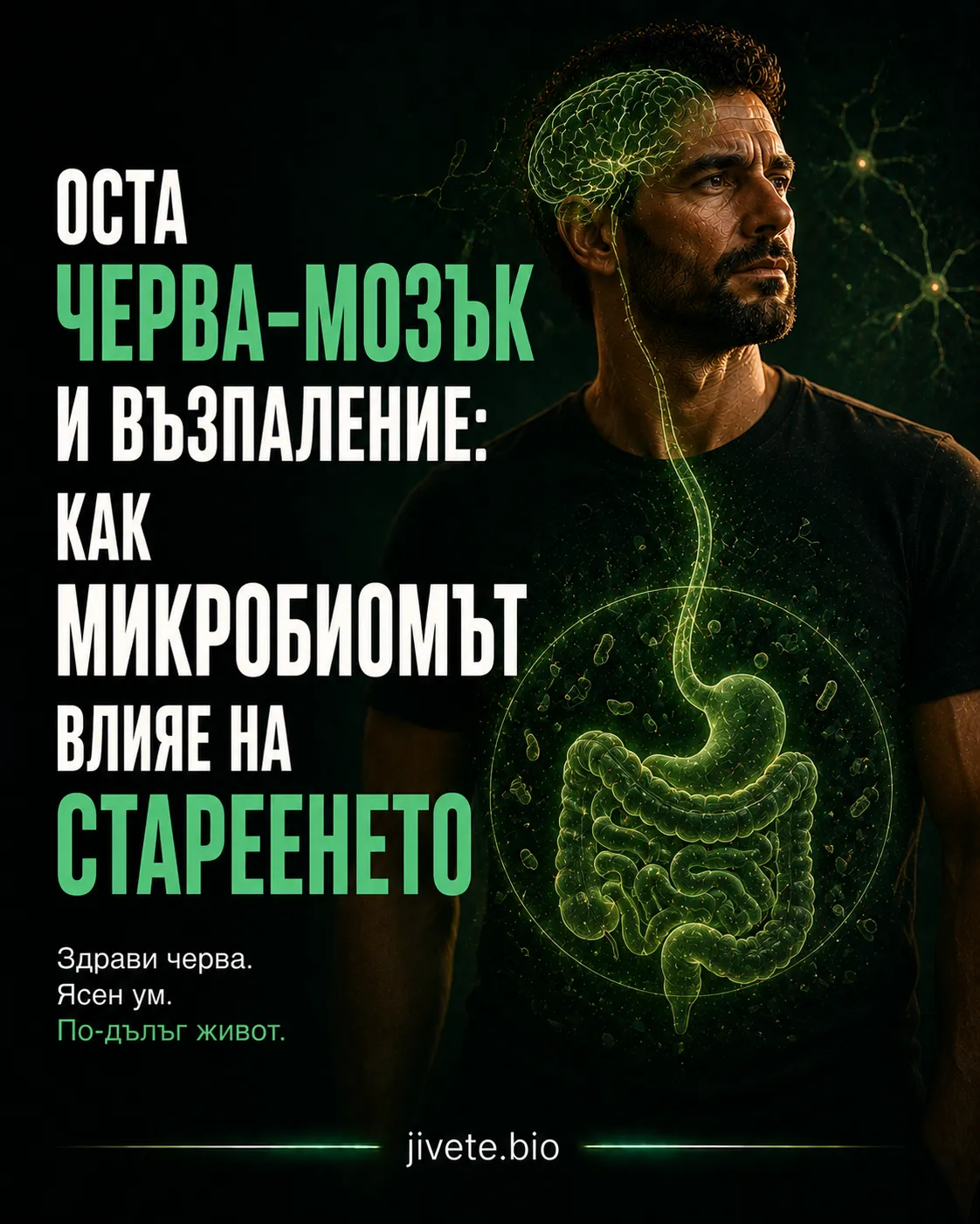 Оста черва–мозък и възпаление: как микробиомът влияе на стареенето