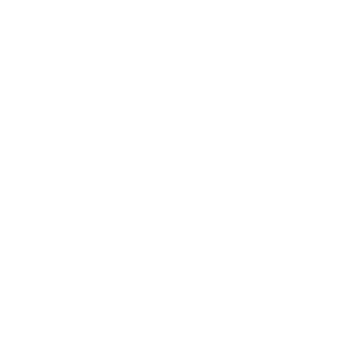 conversation icon