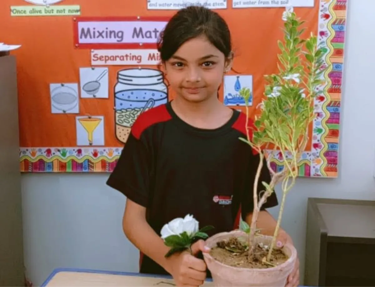 STREAM EXHIBITION | Eureka School System