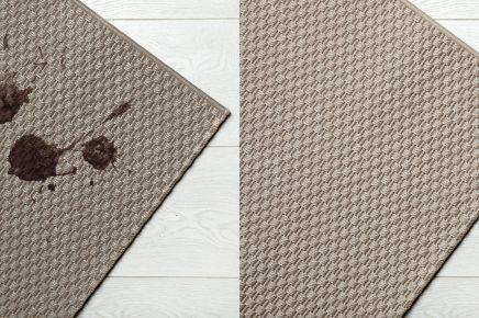 after carpet cleaning essex