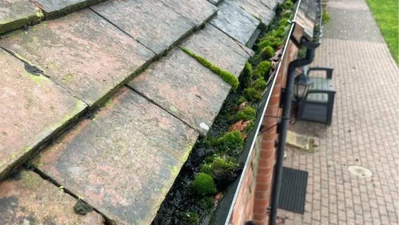 Before gutter cleaning Tiptree