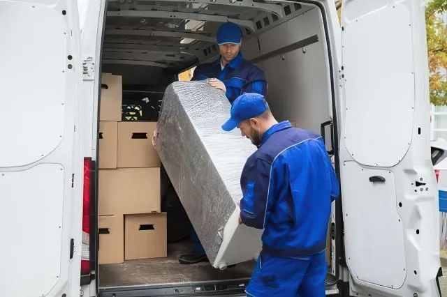 {{ custom_values.service_1 }} in {{custom_values.biz_area_1})